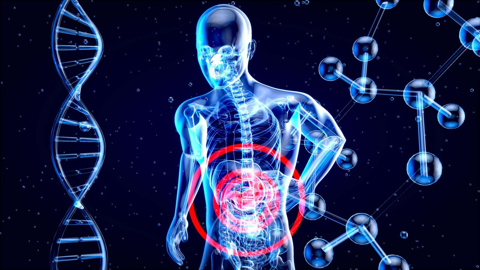 HEALTHY LIVER